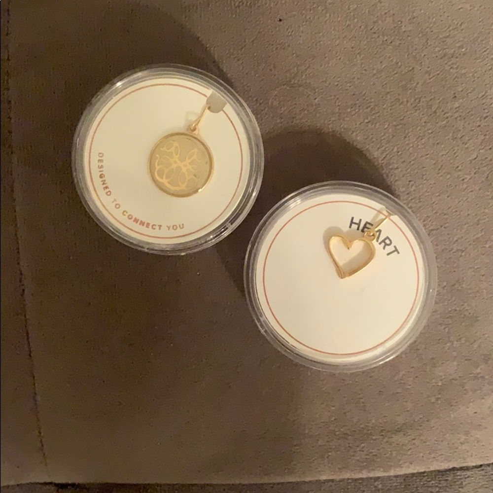 Alex and ani charms